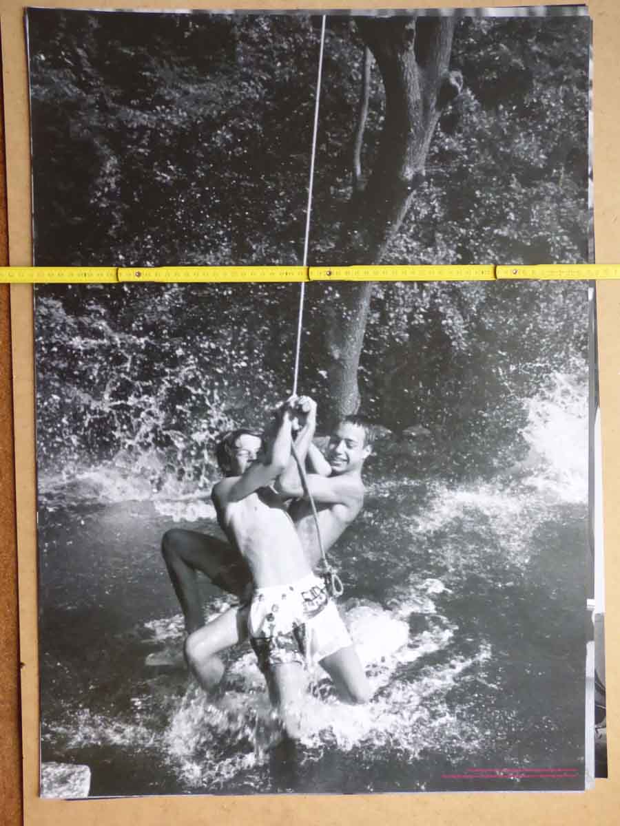 Bohnenstengel2-02.jpg