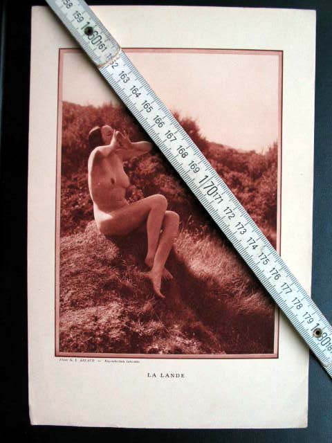 arlaud_lande.jpg