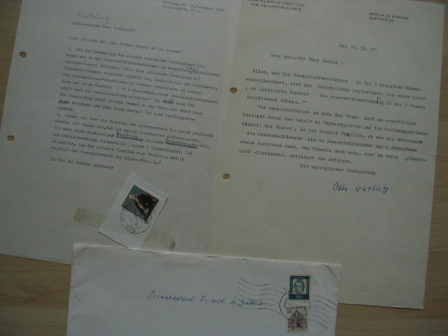 aut015.jpg