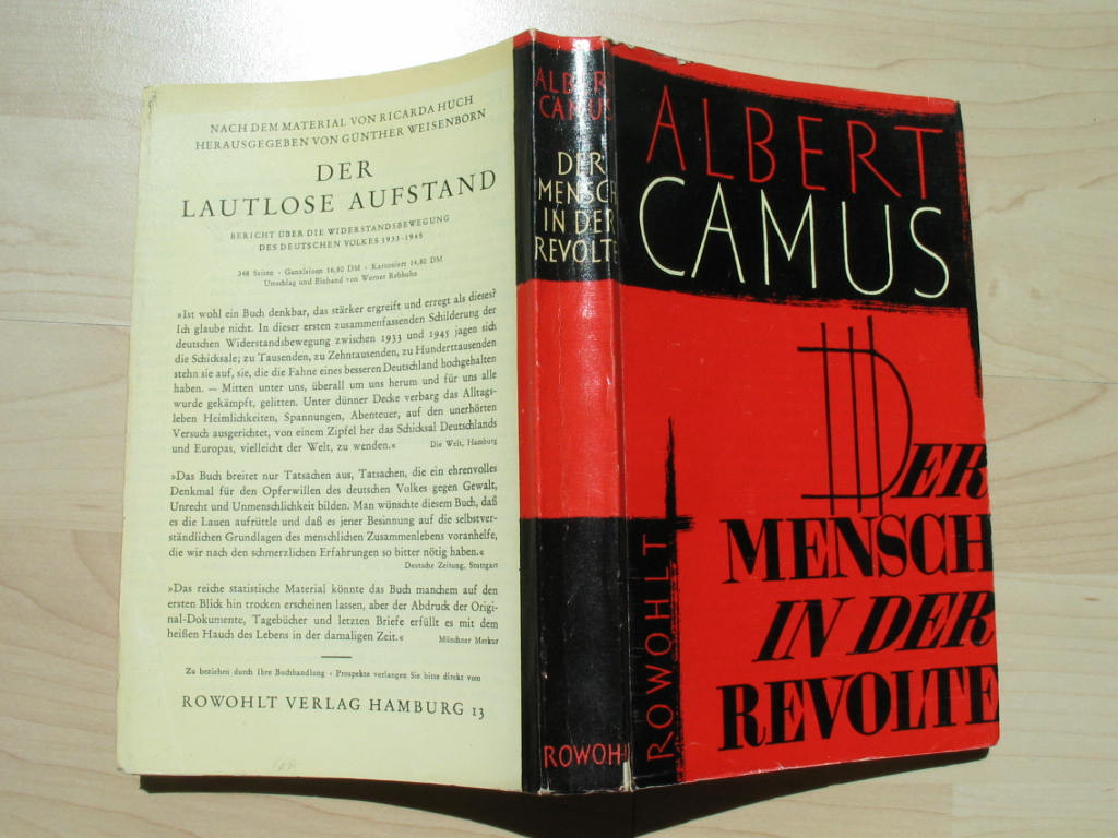 bel359.jpg