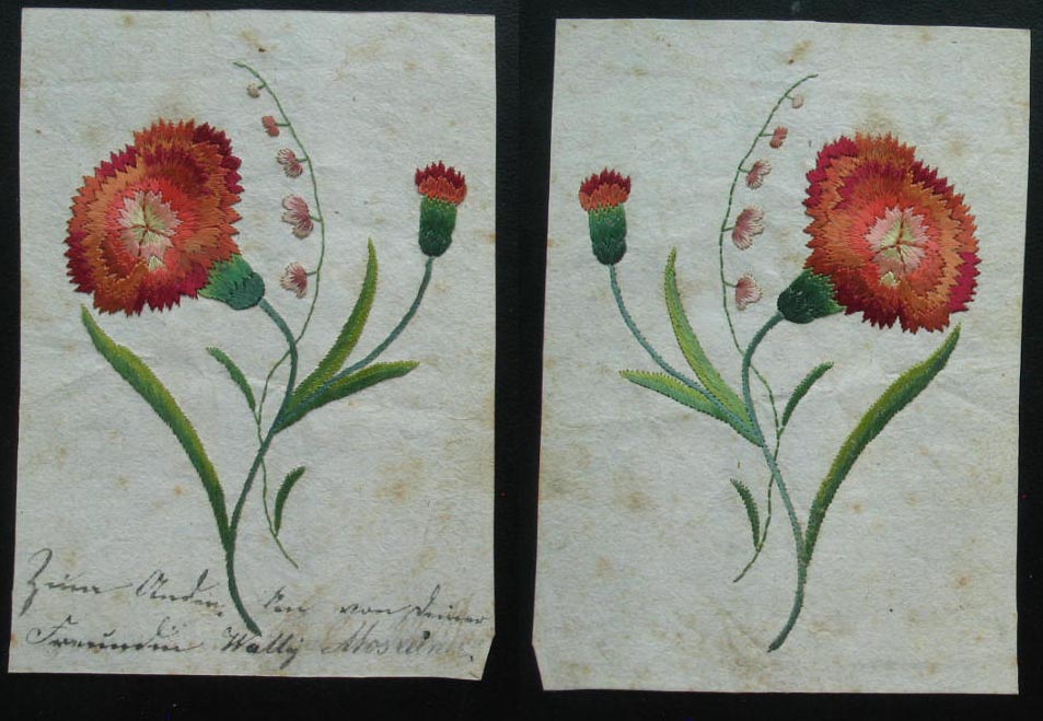 blume1816.jpg