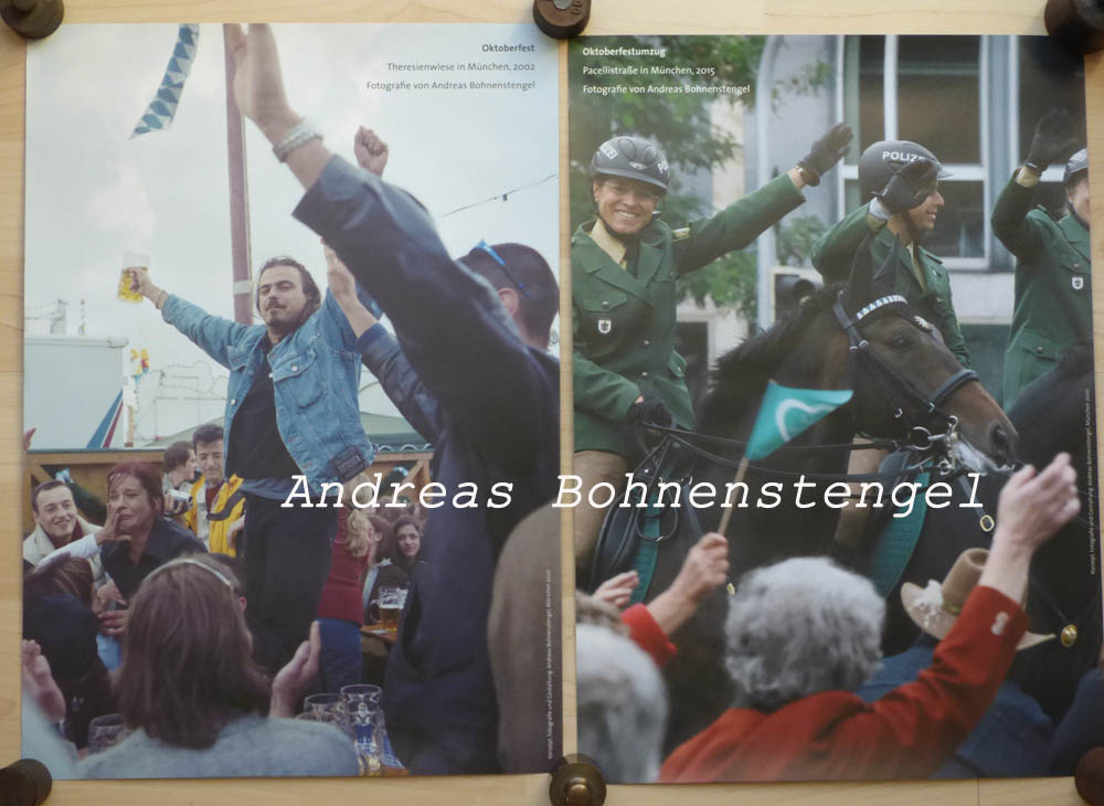 bohnenstengel6.jpg