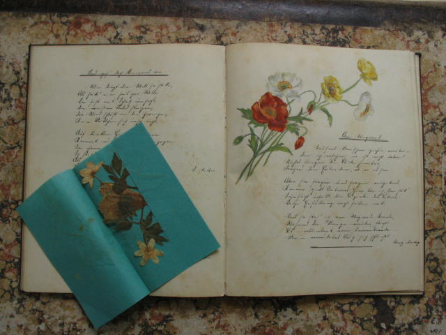 cassiodor,unik016.jpg