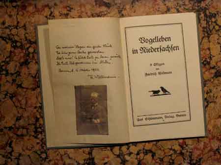 cassiodor,vogelleben.jpg