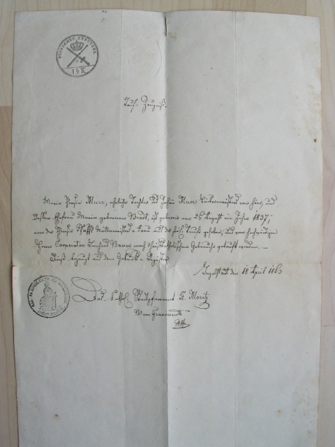 dok013.jpg