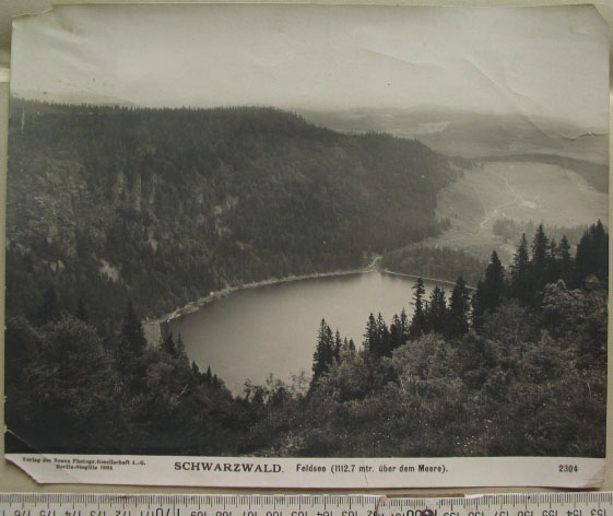 feldsee1904.jpg