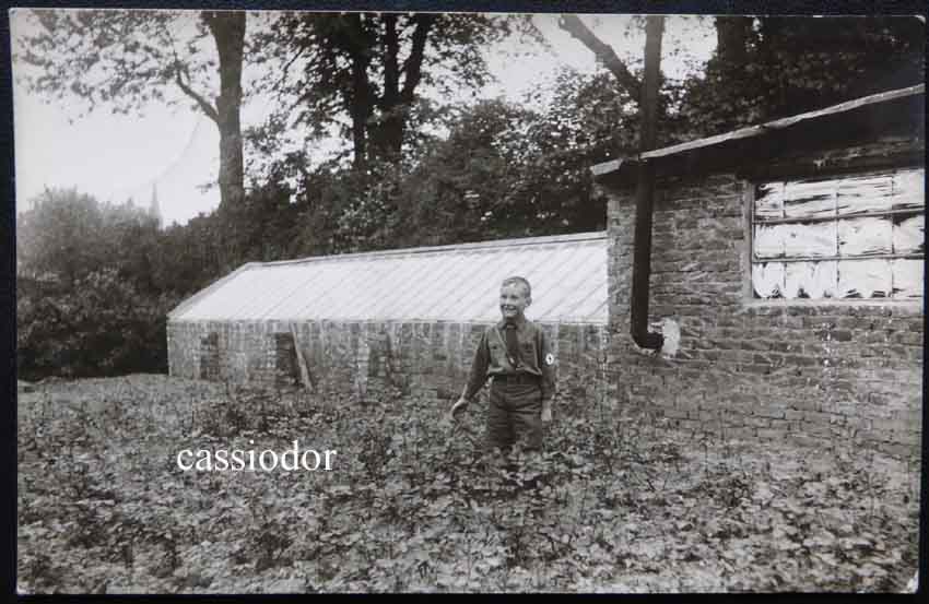 hj-gewaechshaus.jpg