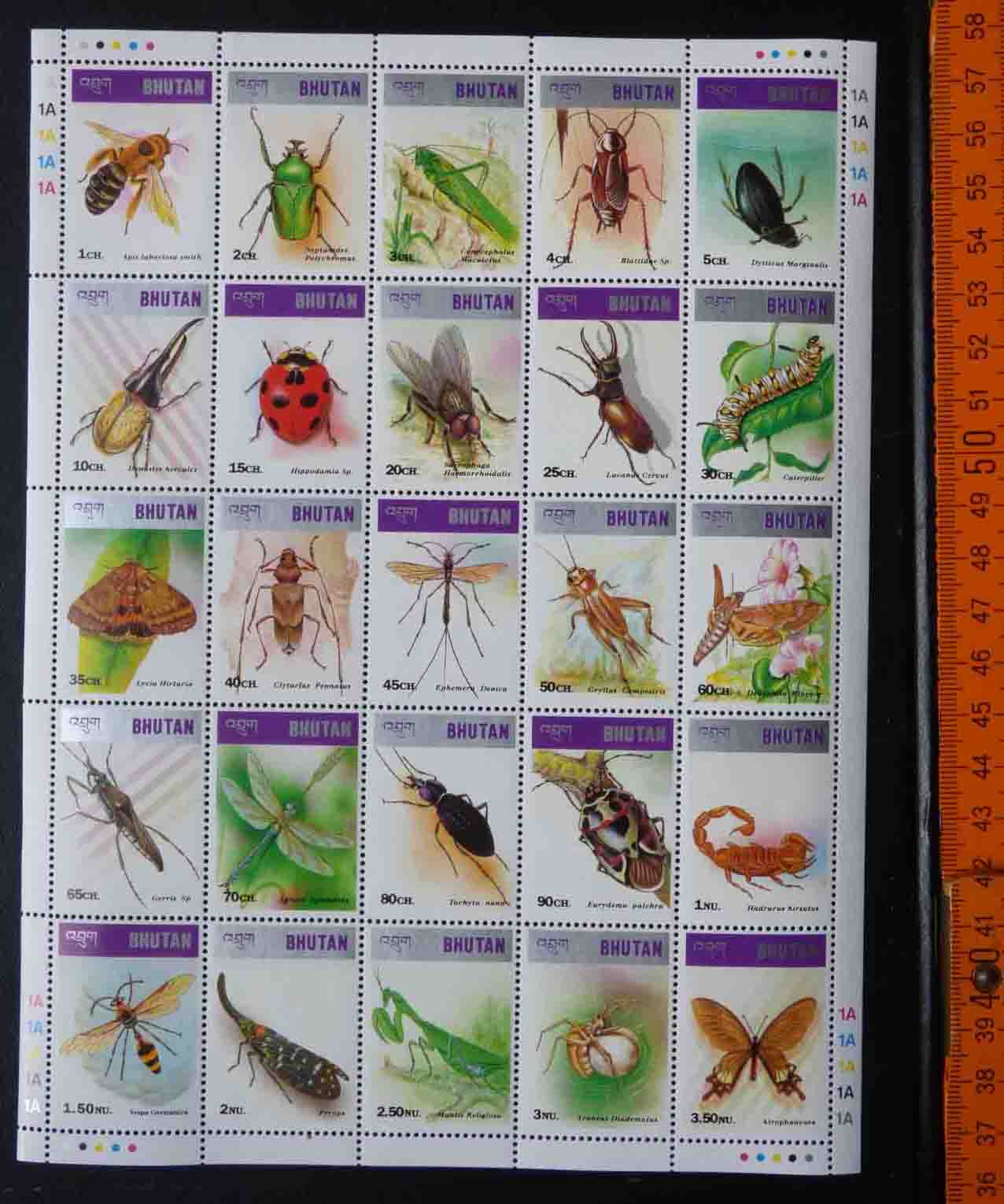 insekten-bhutan.jpg