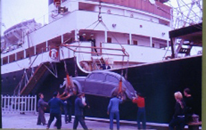 kaefer-korsika.jpg