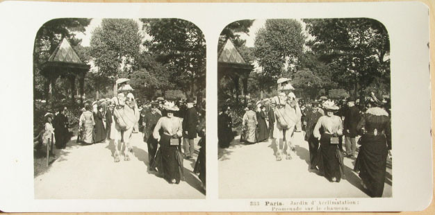 kamelinparis.jpg
