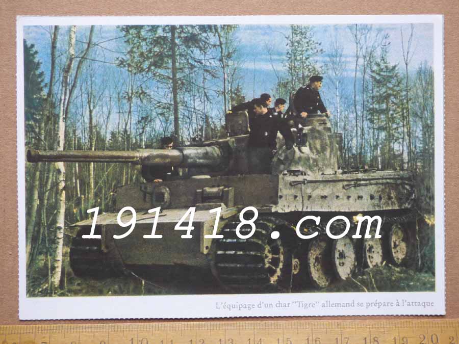 kriegsberichter-Tiger.jpg