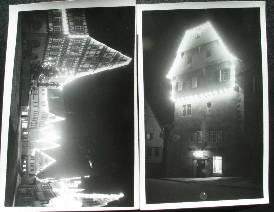 leonbergbeinacht.jpg