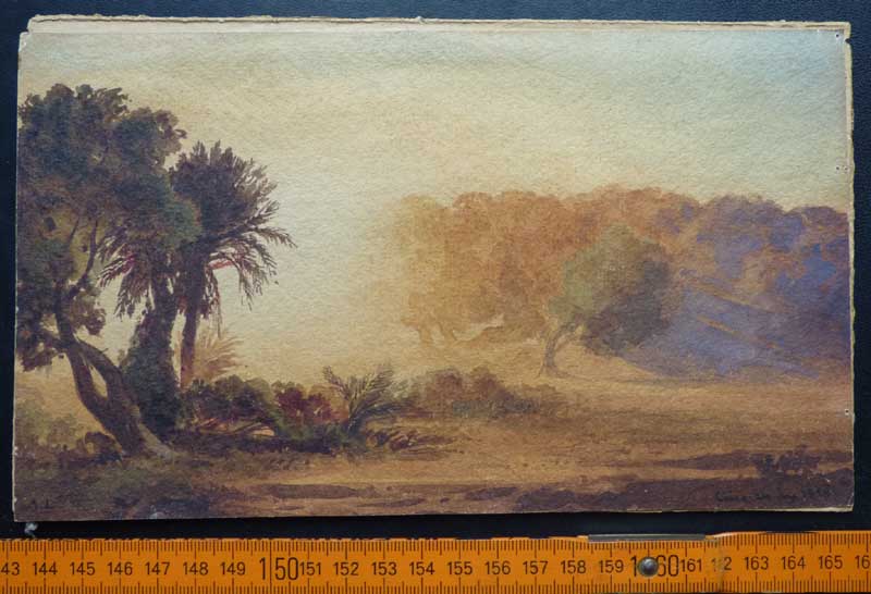 loeffler-sonnenbrand.jpg
