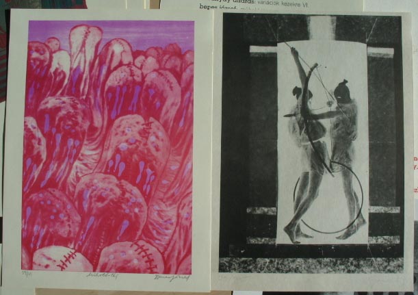 makoi-mappa-1989.jpg