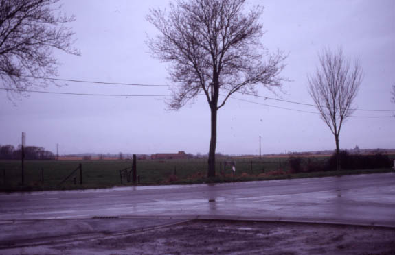messines01.jpg