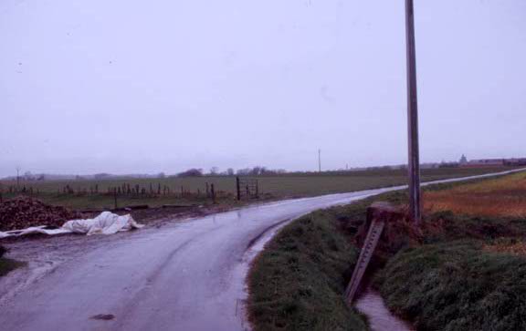 messines03.jpg