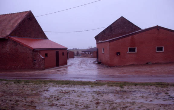 messines04.jpg