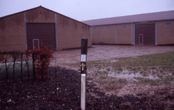 messines05.jpg