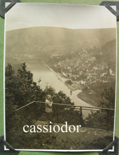 neckargemuend.jpg