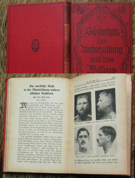 nordische_rasse.jpg