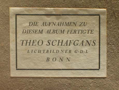 schafganstheo.jpg