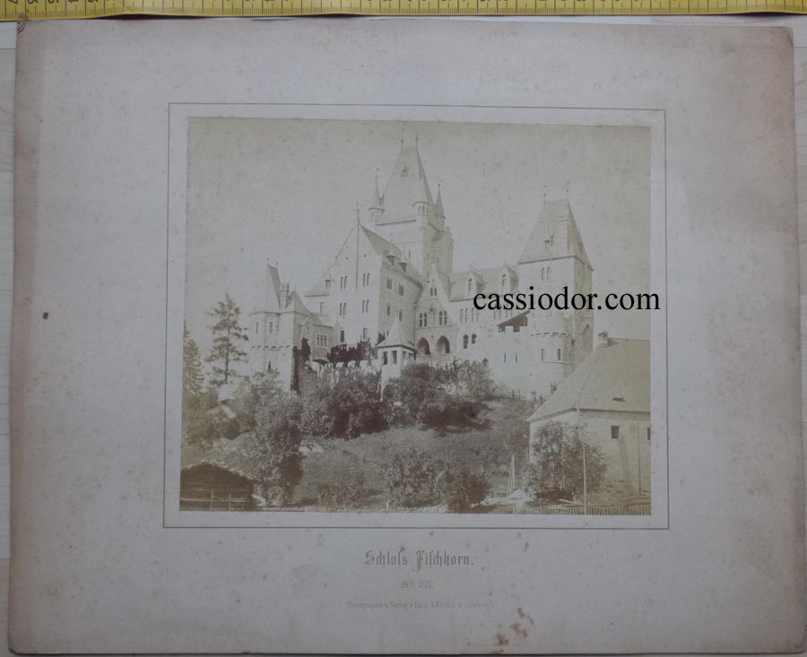 schloss-fischhorn.jpg