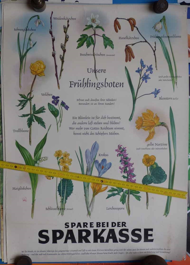 sparkasse-fruehlingsboten.jpg