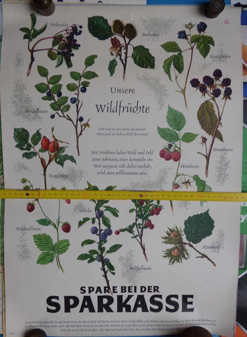sparkasse-wildfruechte.jpg