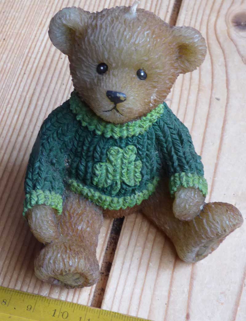 teddy-wachs.jpg