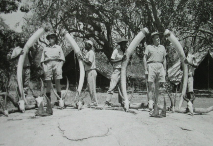 tsavo-national-park.jpg