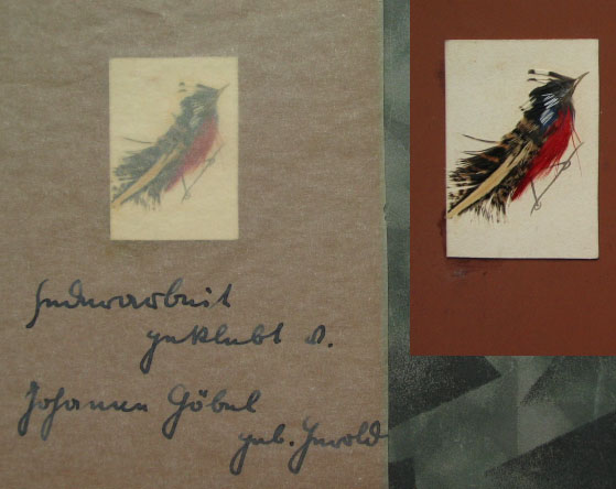 vogelausfedern.jpg