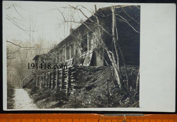 waldlager-schoenbrunn.jpg
