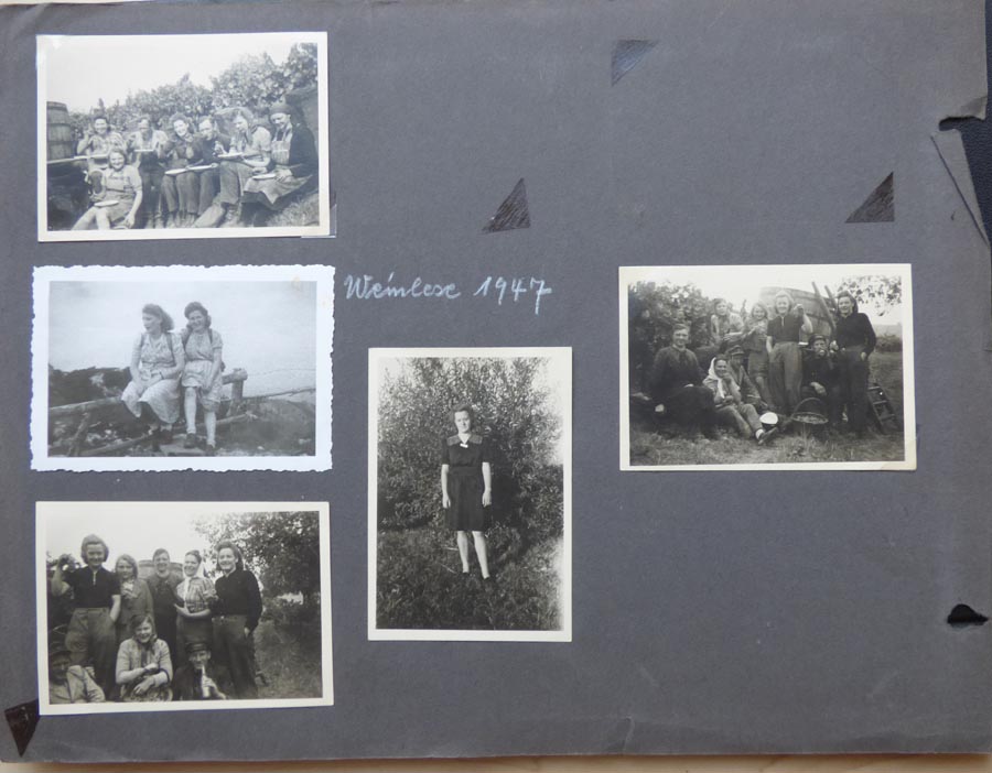 weinlese1947.jpg