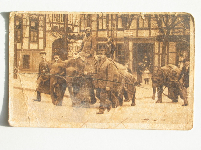 zoohannover.jpg